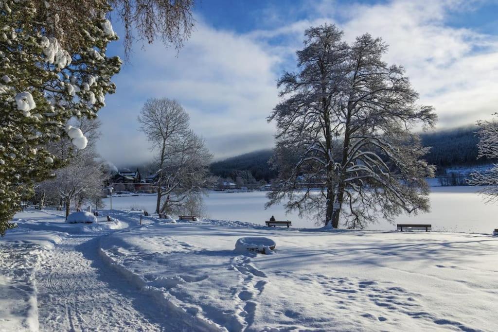 Waldklang Titisee Exterior photo