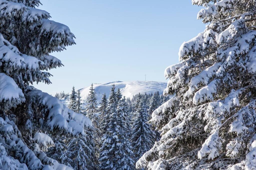 Waldklang Titisee Exterior photo